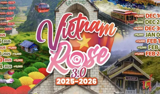 Vietnam Rose 3.0: 2025 - 2026 international tour cover